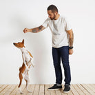 GEOMETRIC CAT – tričko z bio bavlny s kočkou v minimalistickém stylu pro milovníky čistého designu | FleekFox v barvě